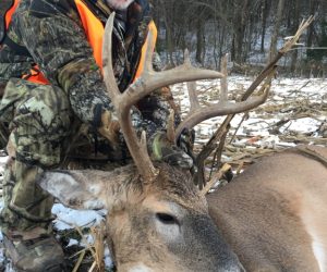 2018 Whitetails (11) 2018